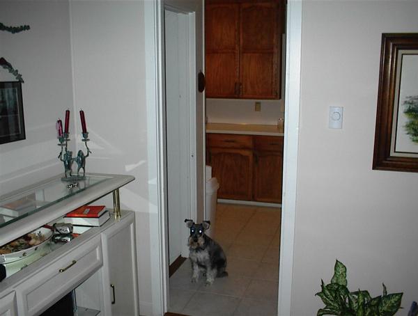  Looking left toward the kitchen.