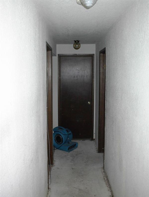 The carpet in the hallway, removed